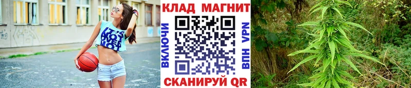 Где купить наркоту Чапаевск ТГК  Каннабис  КОКАИН  МЕФ  ГАШ 