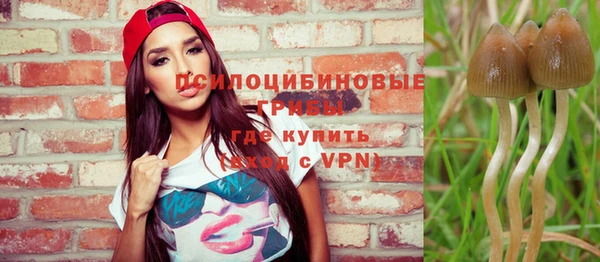 сатива Нея
