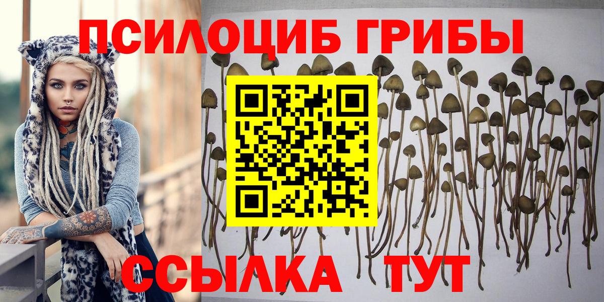 где купить наркоту  Псилоцибиновые грибы Magic Shrooms  Галлюциногенные грибы GOLDEN TEACHER  Вход с VPN  Чапаевск 