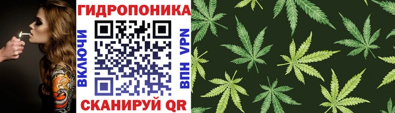 Бошки марихуана индика  Чапаевск 